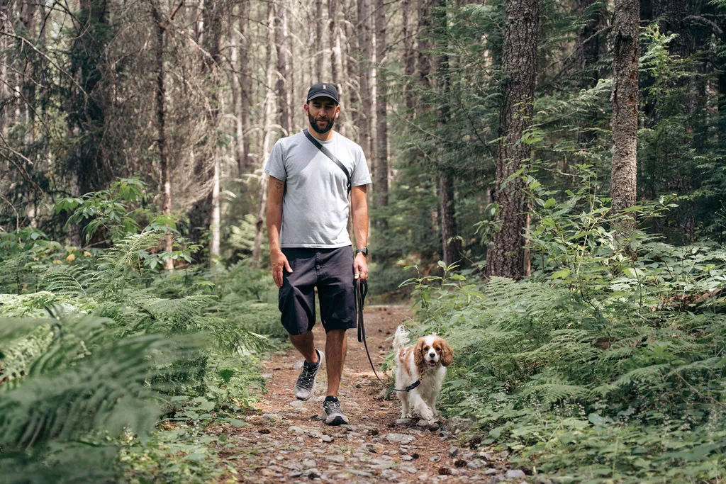 Doggy Tales group dog walker in a ball cap walking a Cavalier King Charles Spaniel on a fern-lined Whistler forest trail