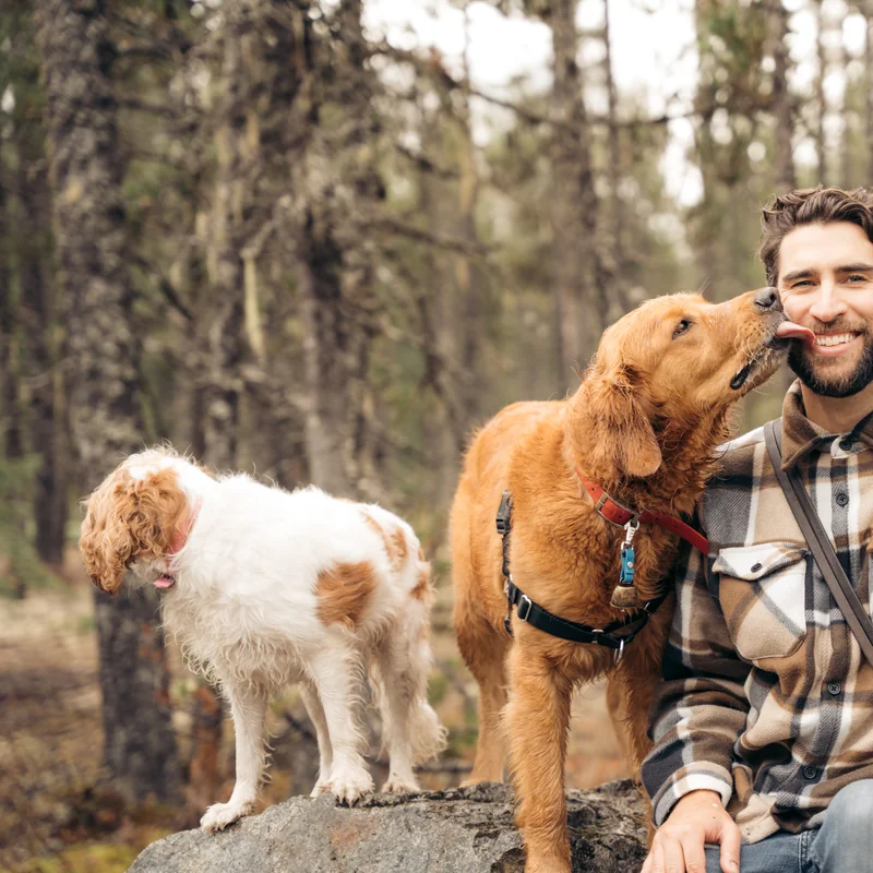 Chad — Doggy Tales Whistler team